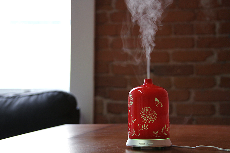 SmileyDaisy - Love in a Mist