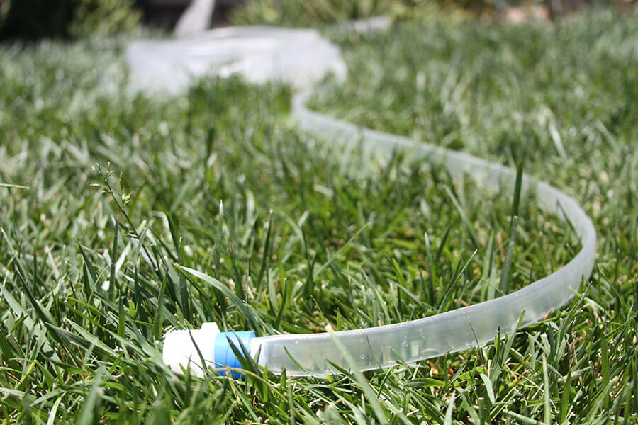 Photo Credit Kimberly Lostroscio