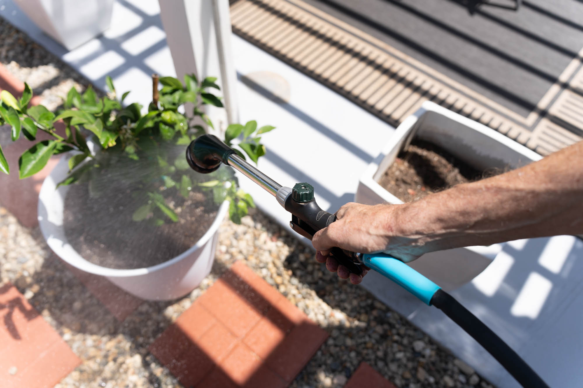 Green Mount - watering wand