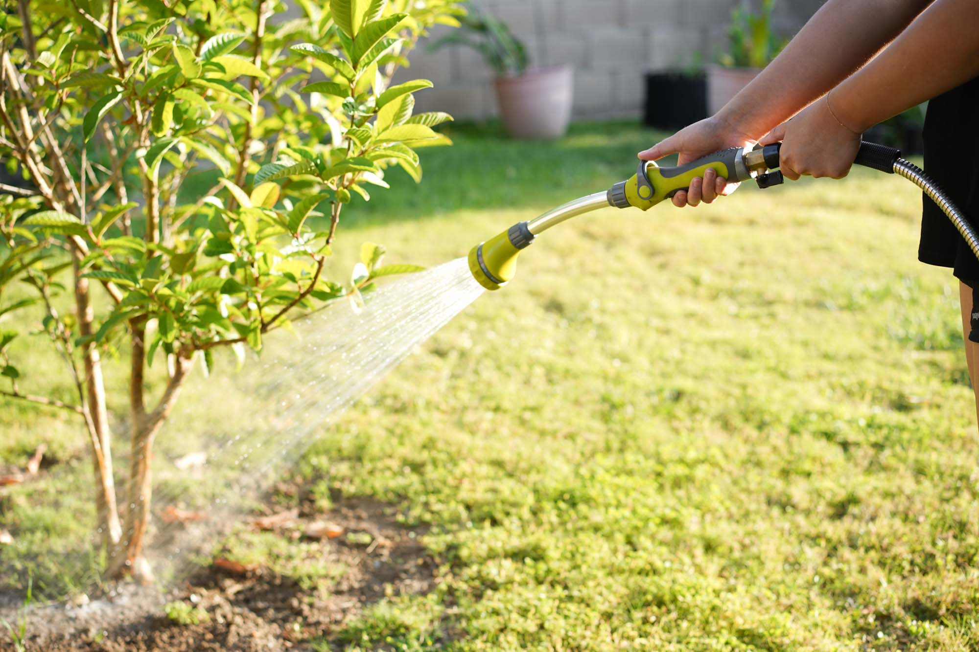 the relaxed gardener - gardening wand