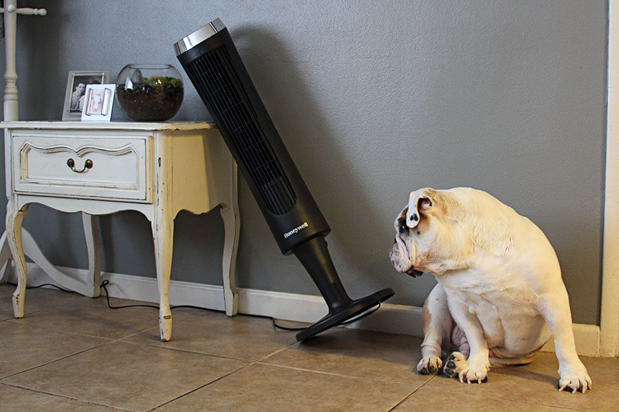 Photo Credit Kimberly Lostroscio