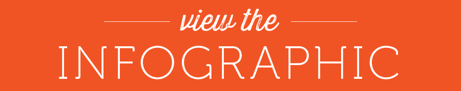 link to DIY window cleaner infogrpahic