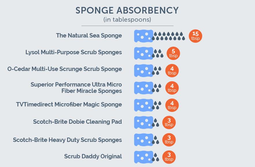 Sponge absorbency