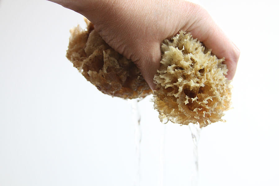 natural sponge water rinse