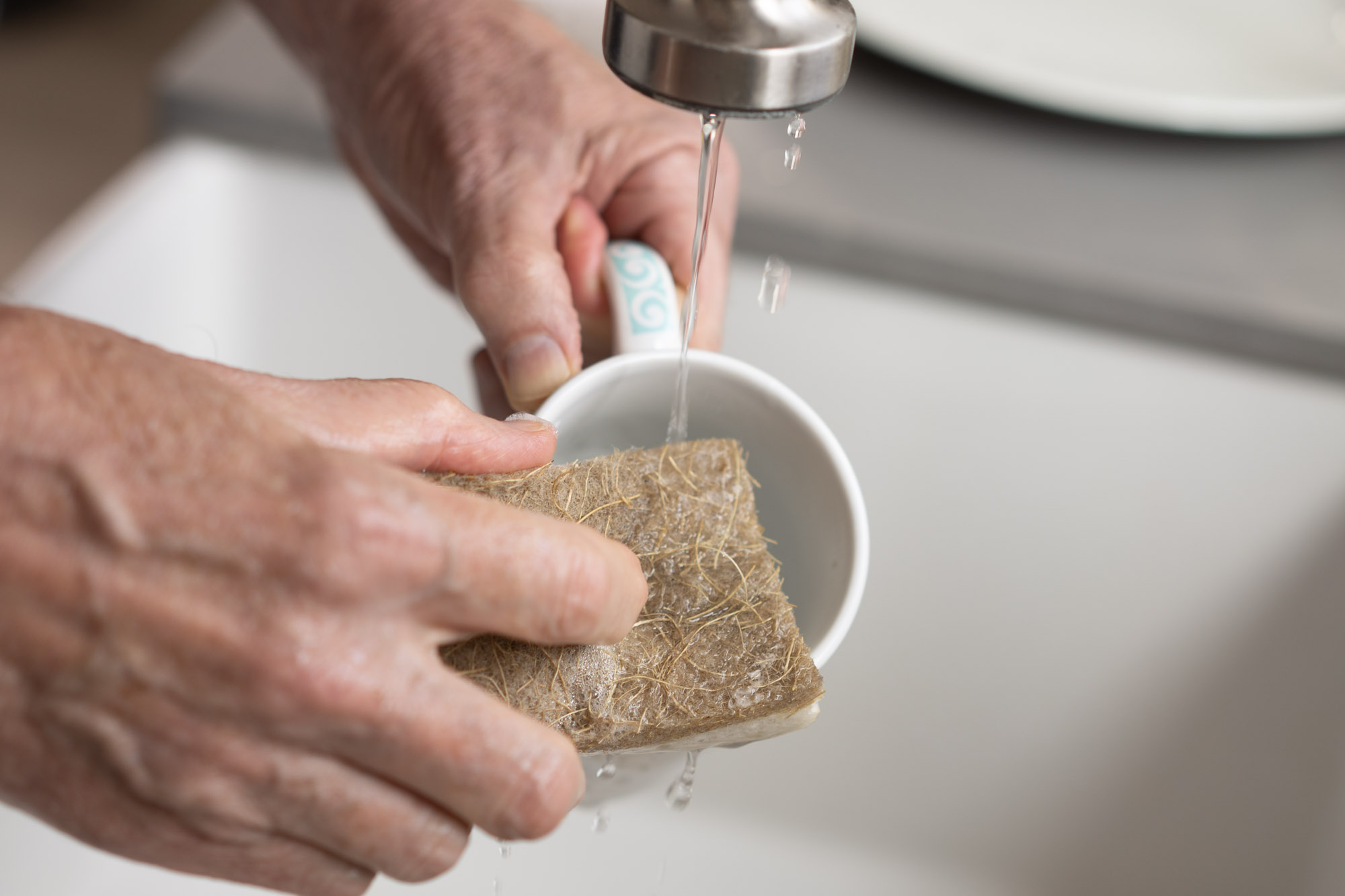 Zen-Living natural sponge