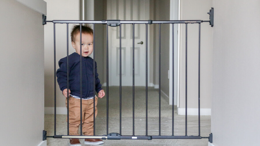 the overall winner - North States