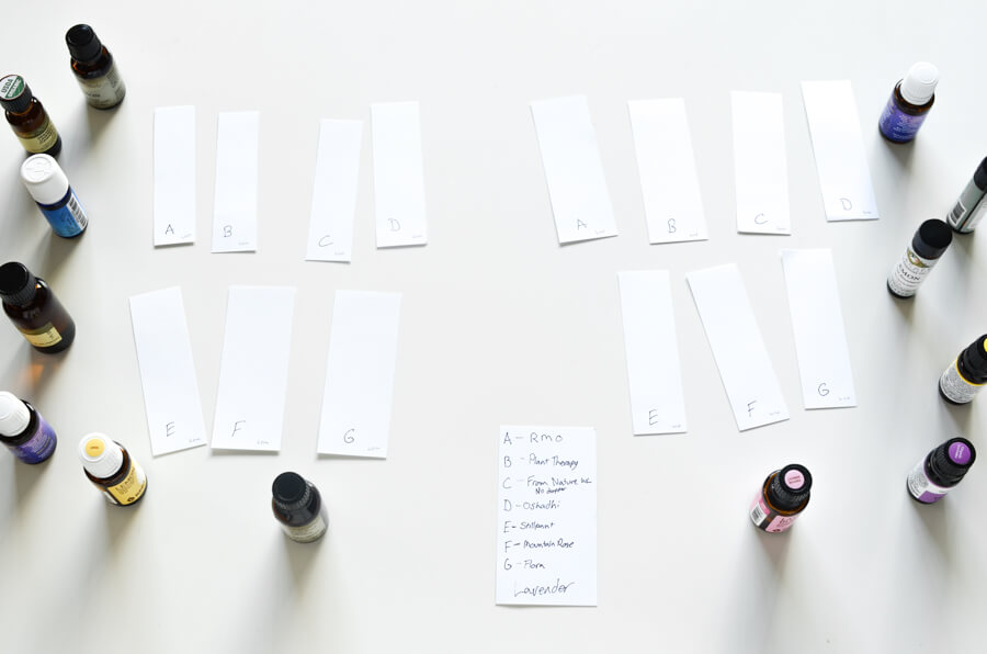 scent evaluation setup