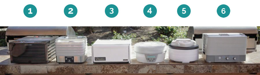 lineup photo of the six best