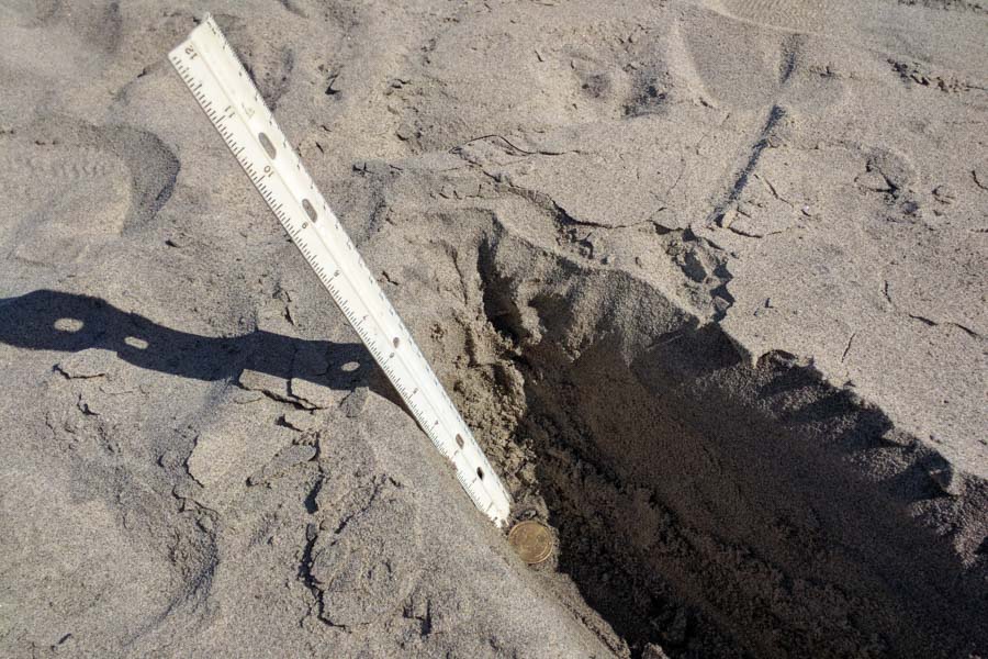 burying a coin for the depth test