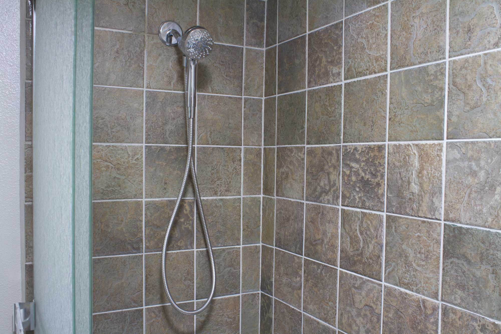 the Moen - Magnetix Attract handheld shower head