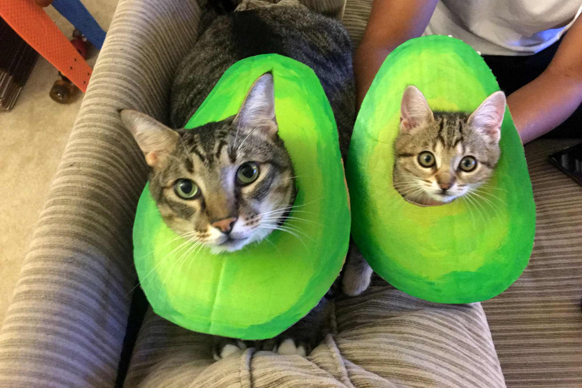 Kit Kat and Jelly Bean in avocado costumes