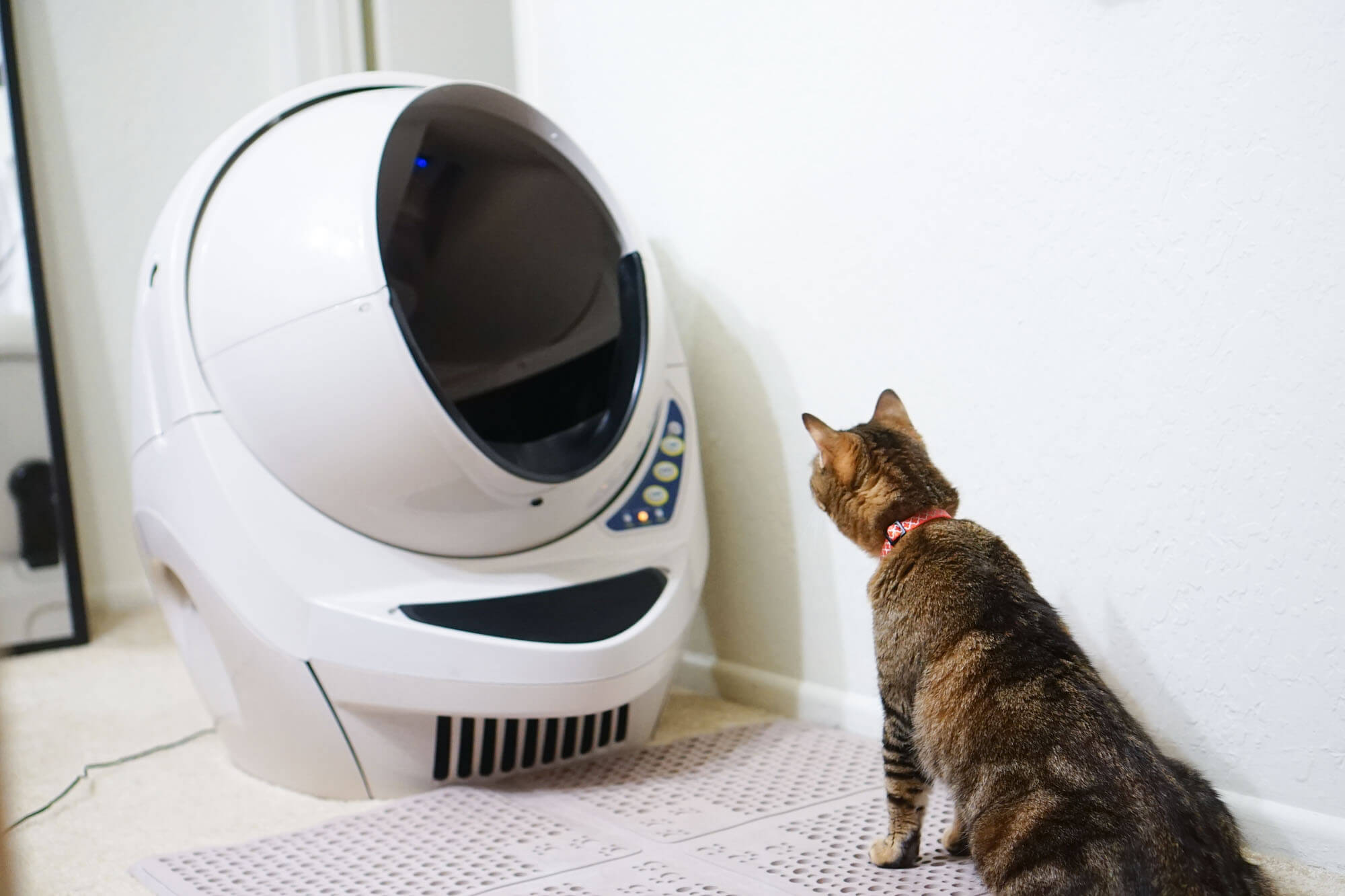the litter robot iii