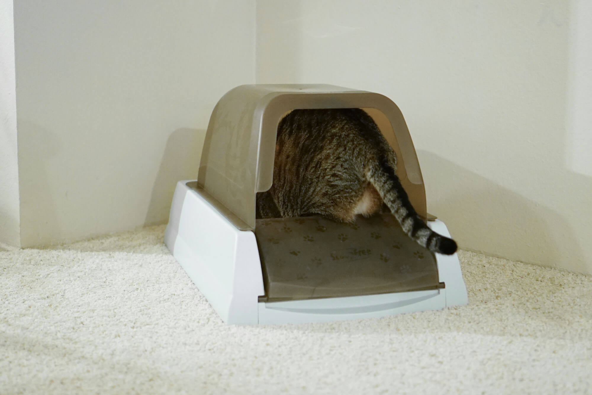 Petsafe - Scoopfree litter box