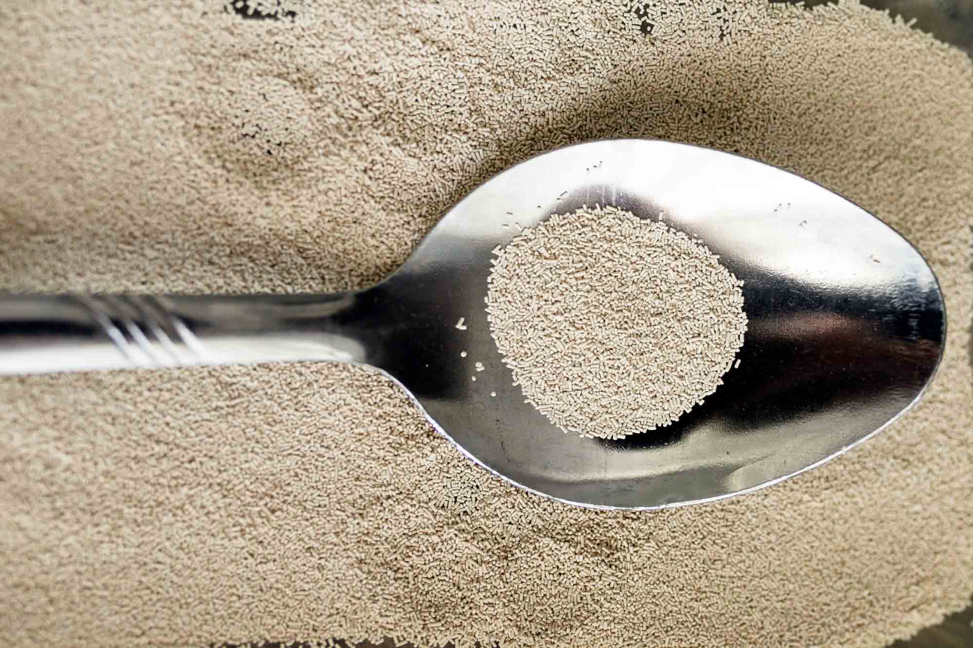 Photo of spoon holding active dry yeast