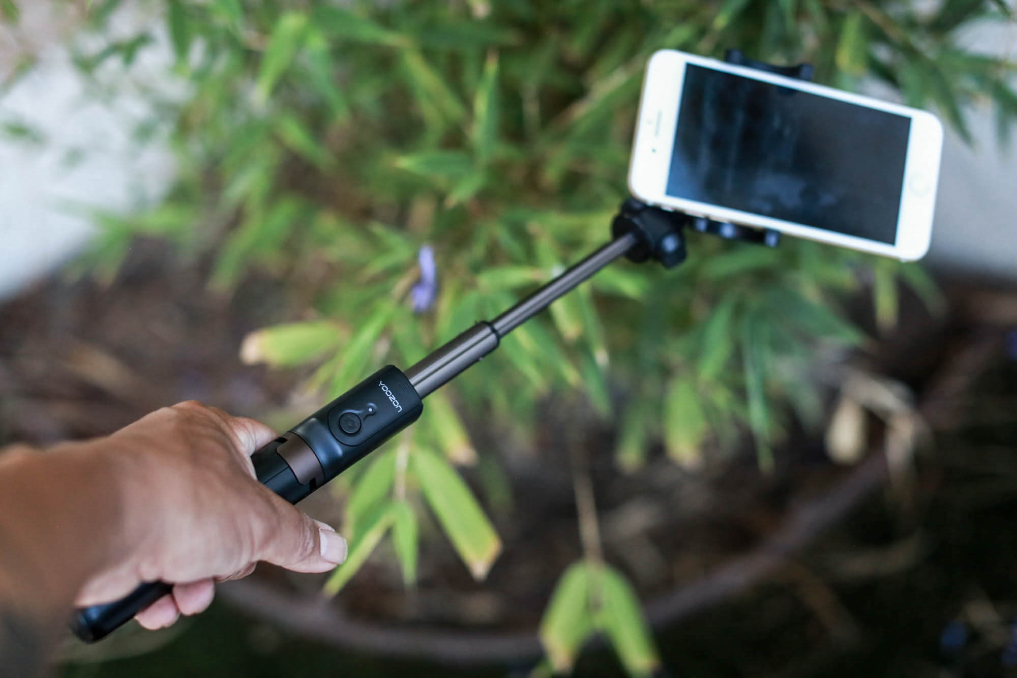 Yozoon in front of plant