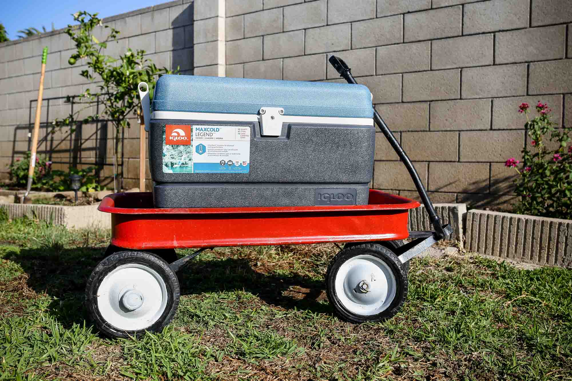 the Igloo Maxcold Legend on a wagon