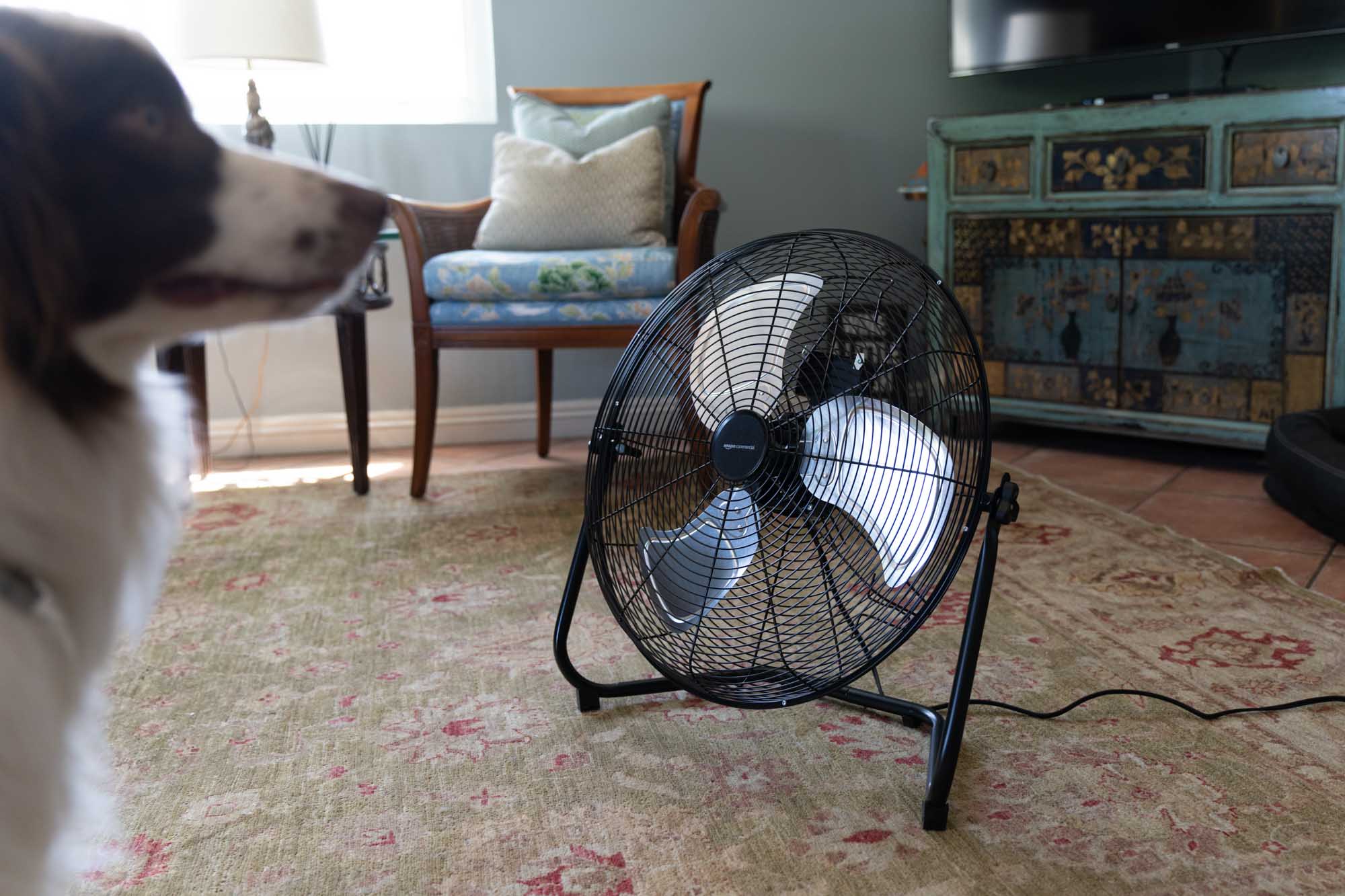 Amazon Commercial - HFV20 floor fan