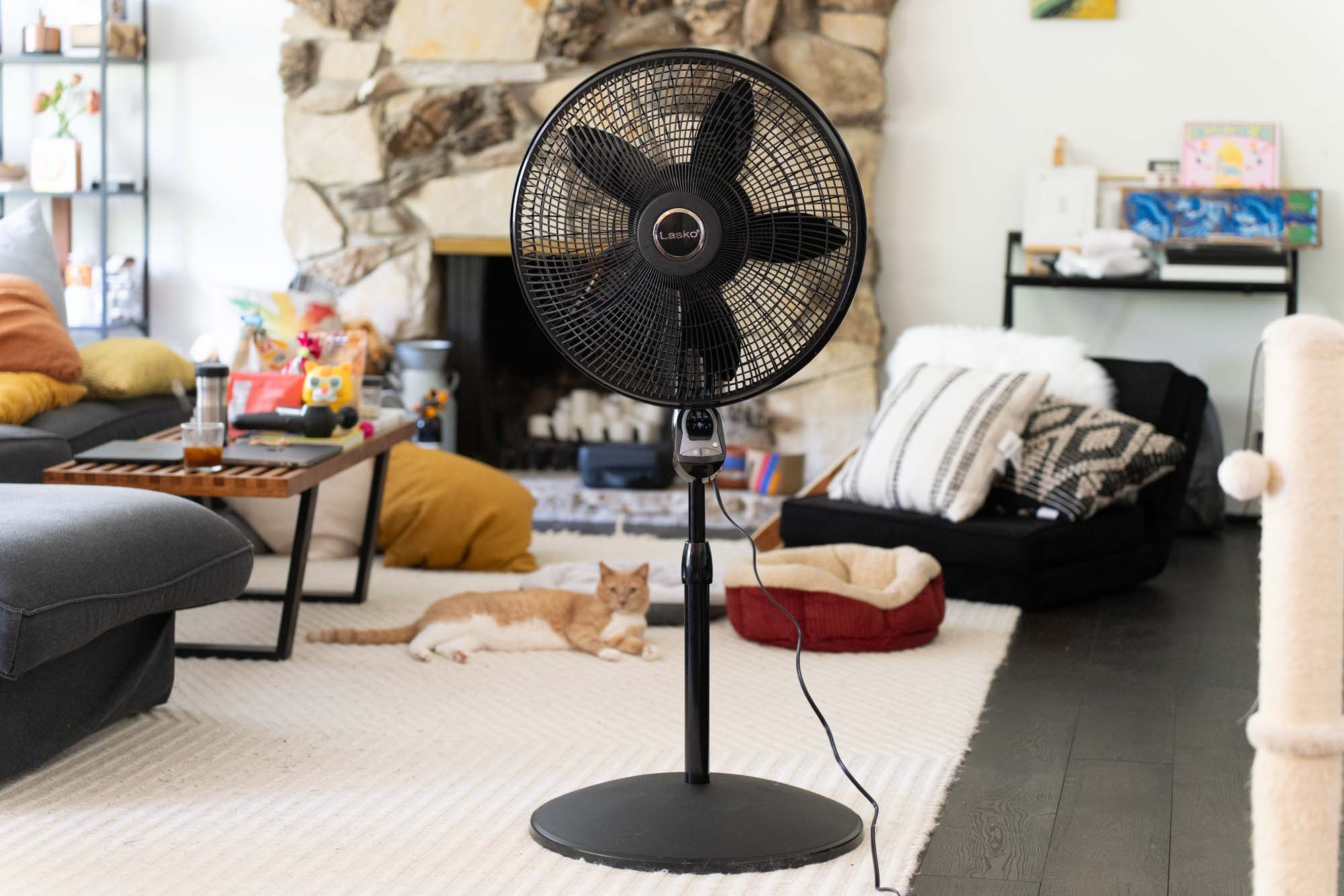 Lasko - 1843 pedestal fan