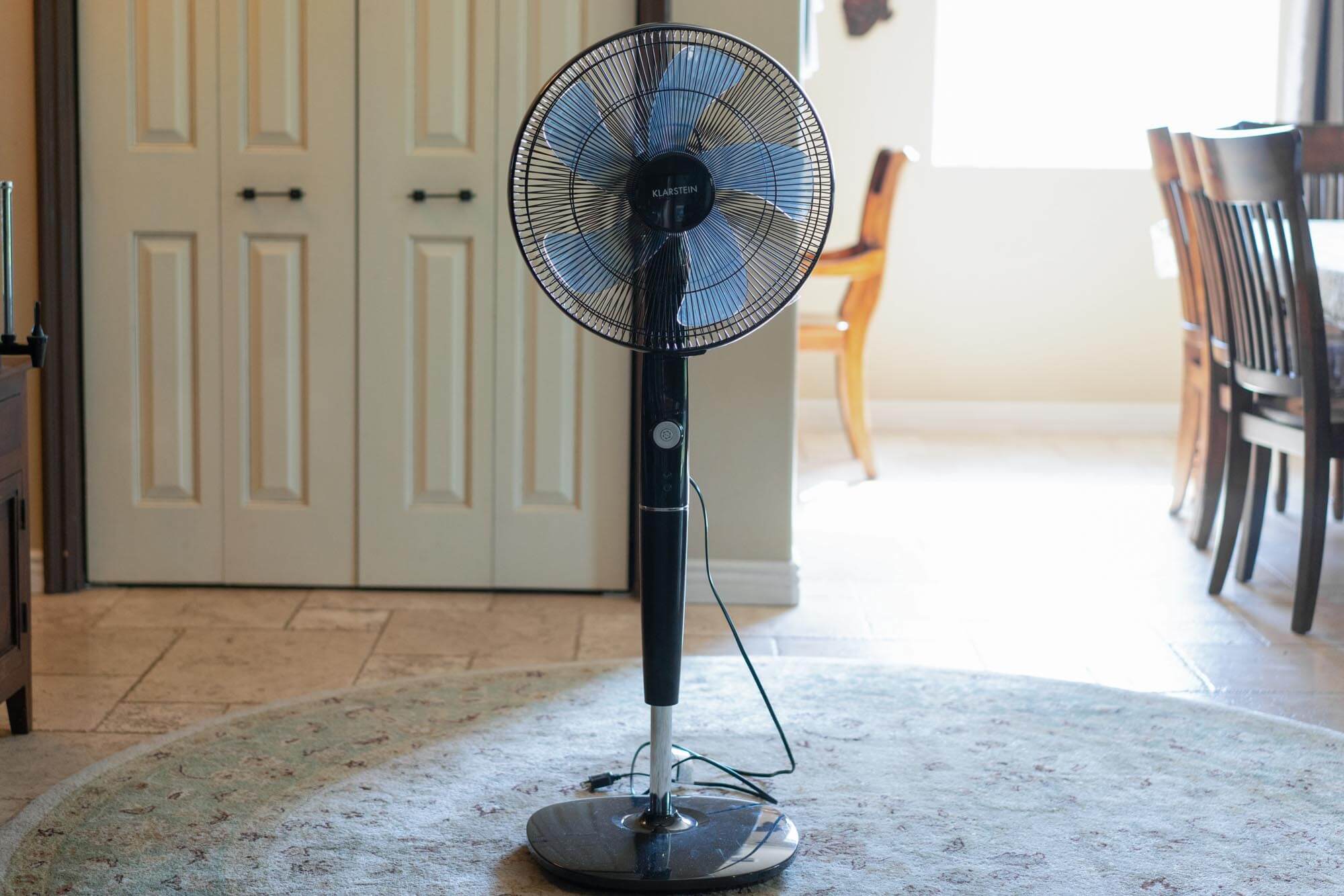 Klarstein in front of white doors