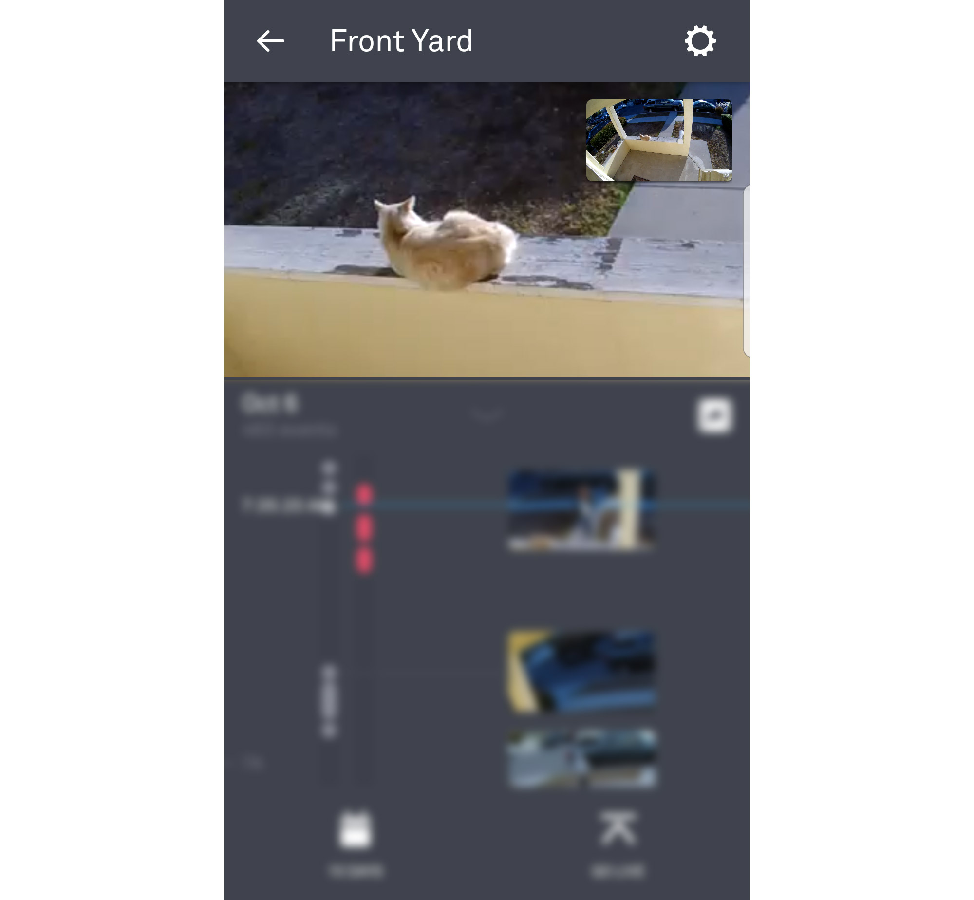 Nest screenshot of zoom feature