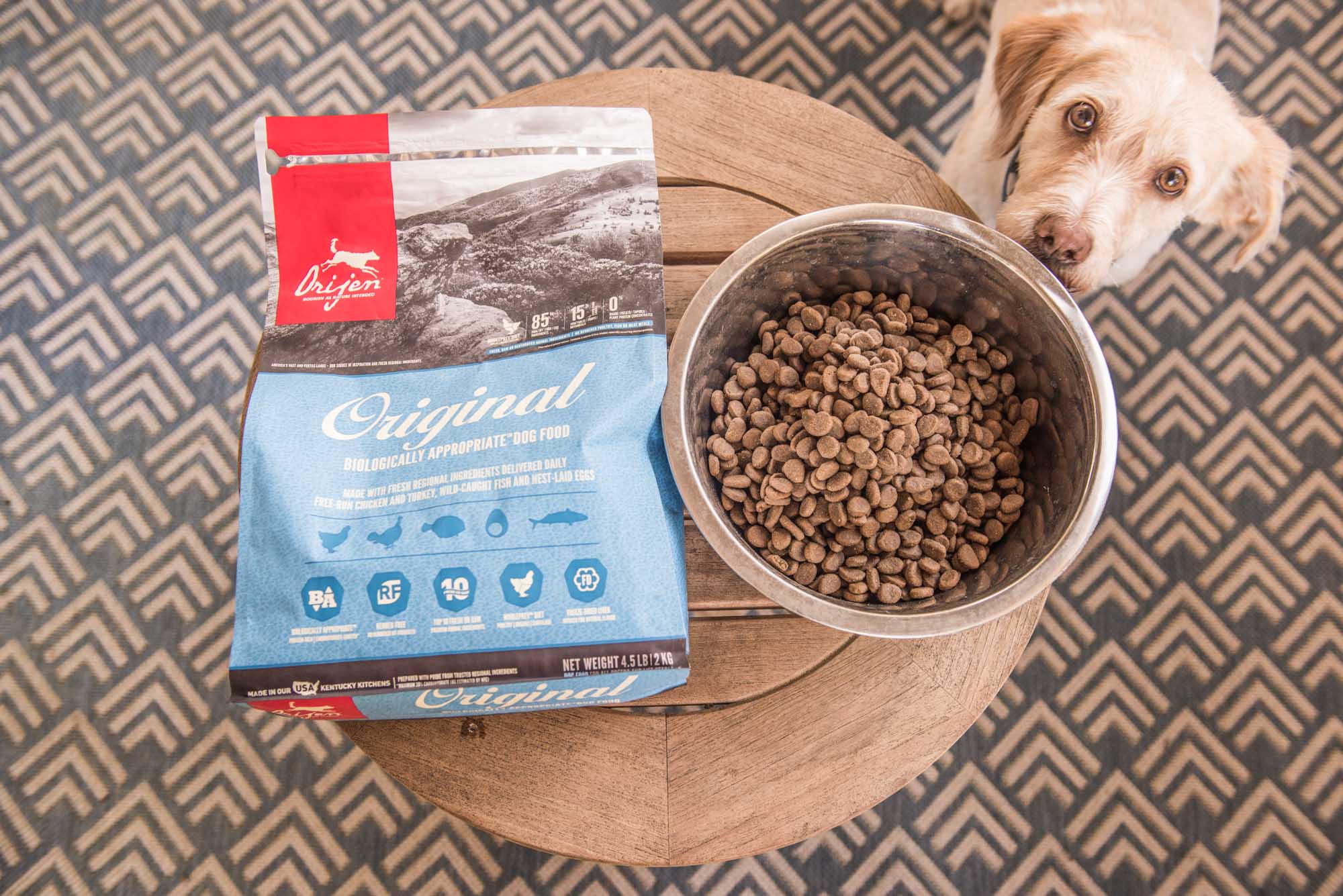best grain free dog food