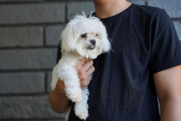man holding a small dog