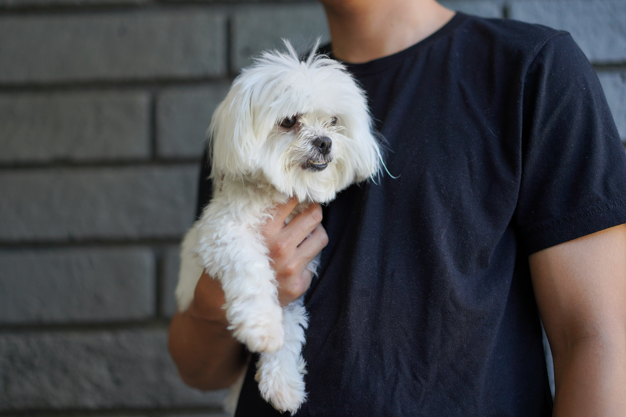 man holding a small dog