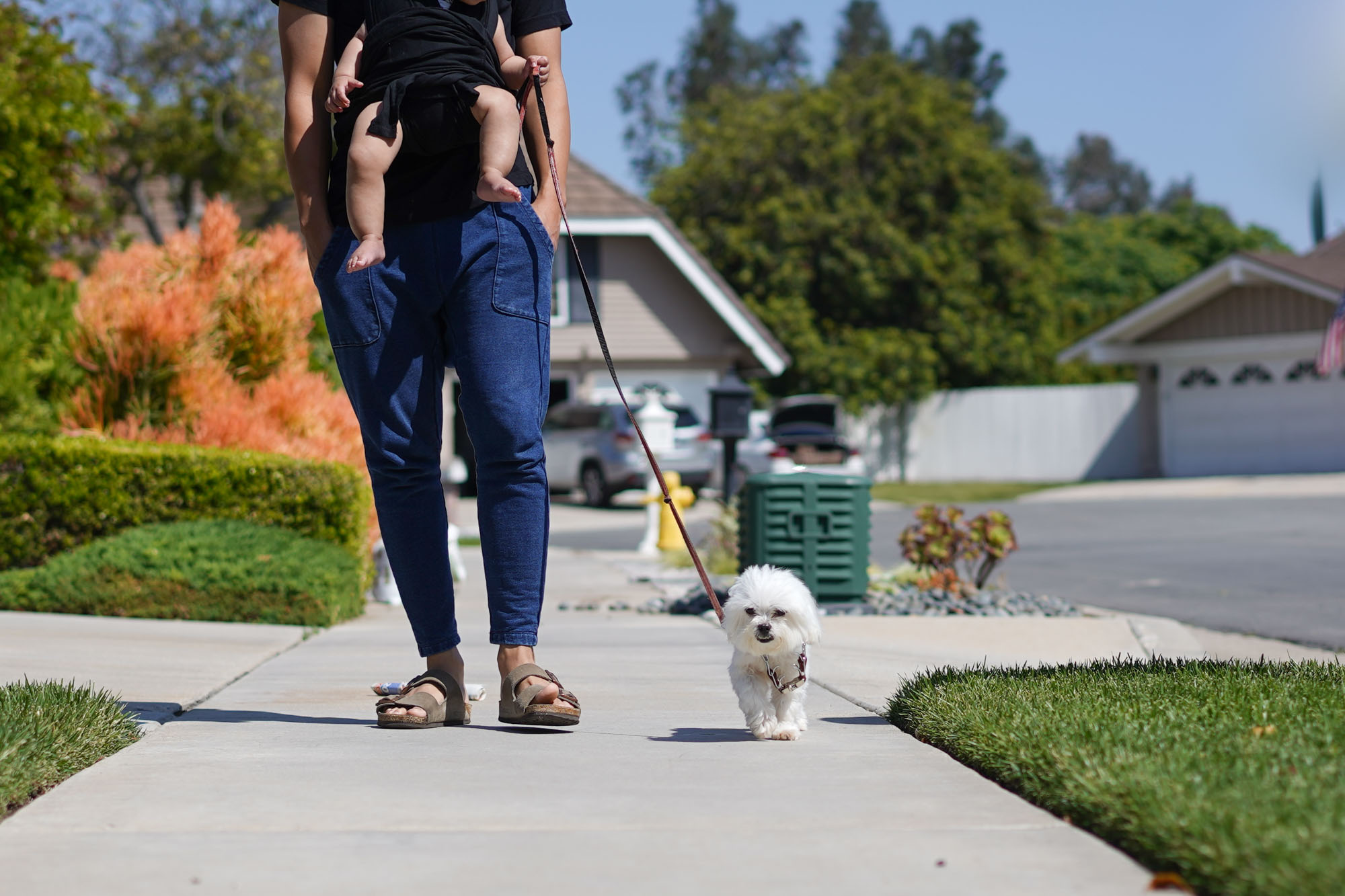 walking a dog outside