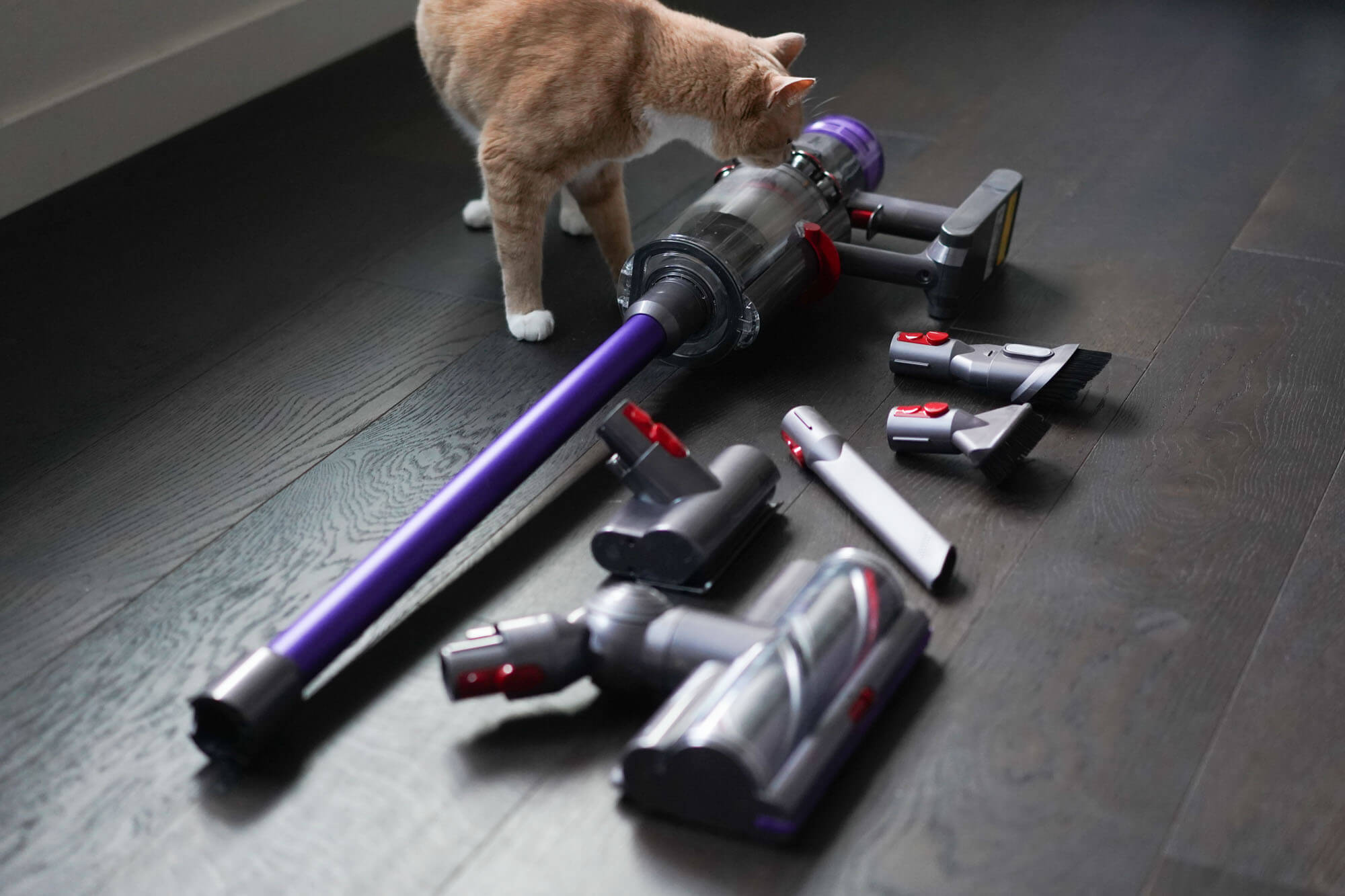 Dyson V11 vacuum