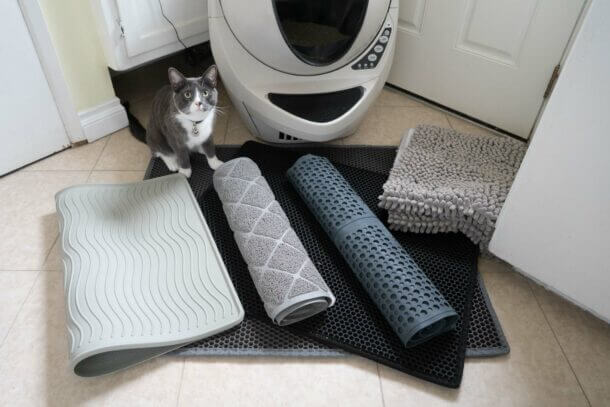 the best cat litter mats