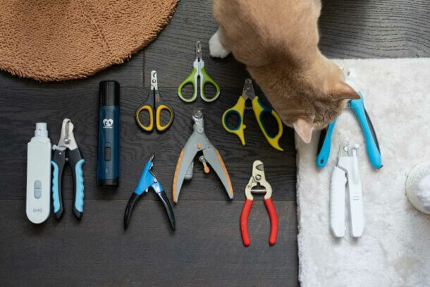 best cat nail clippers