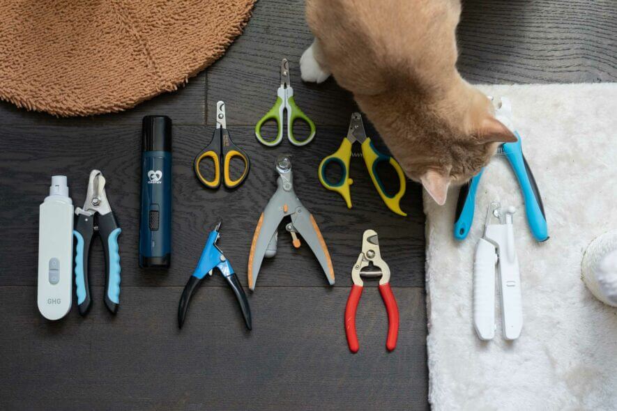best cat nail clippers