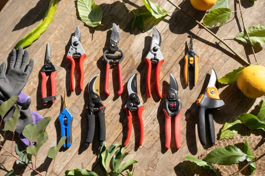 group of pruning shears, snips
