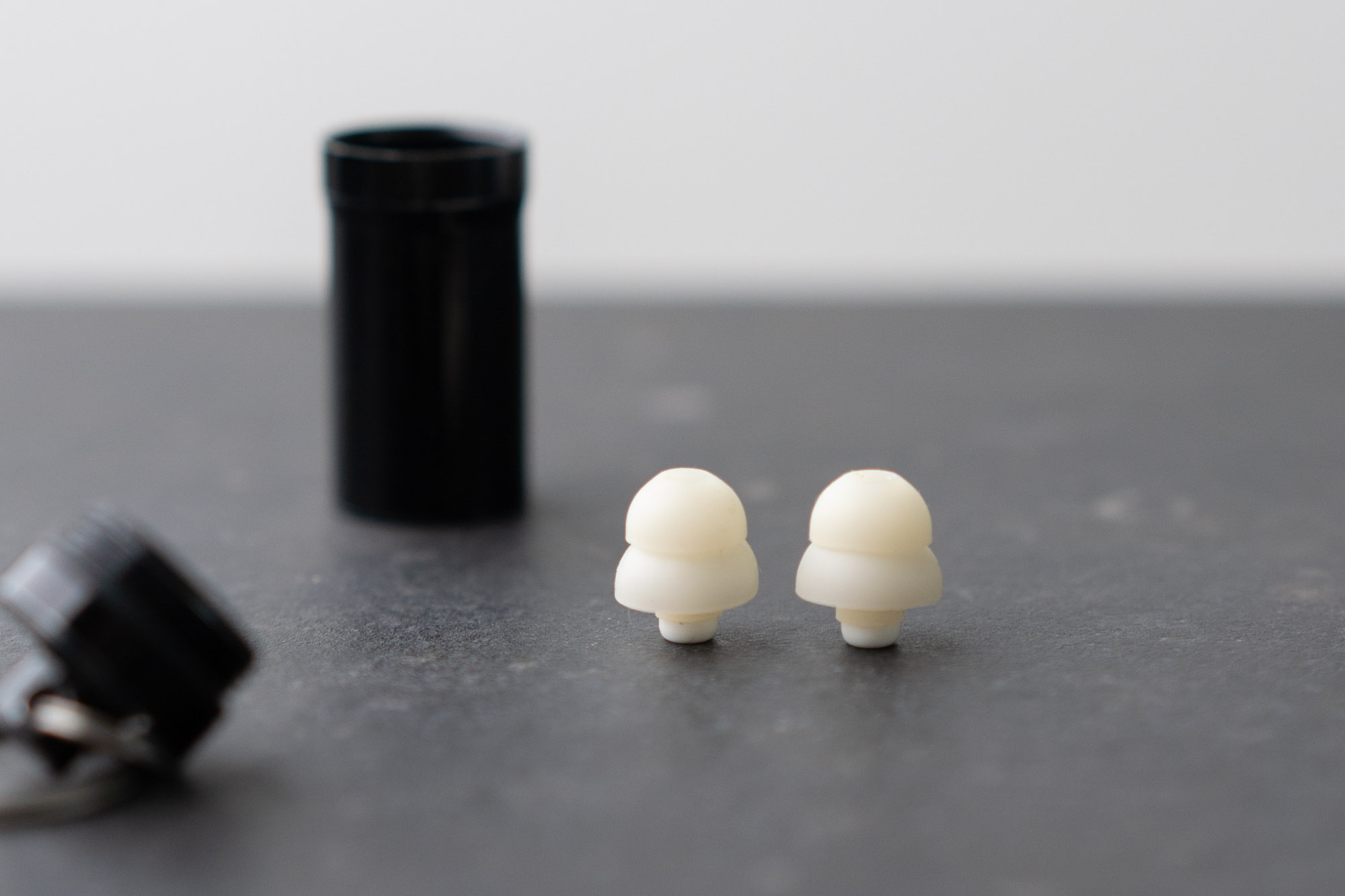 reusable ear plugs with case