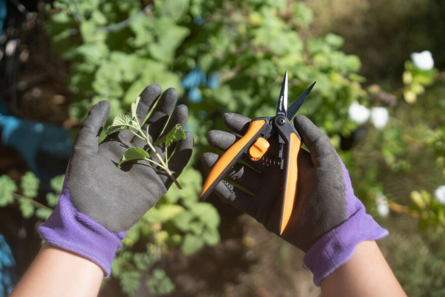 Fiskars small pruning shears
