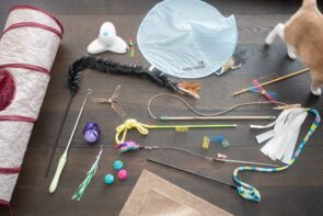 best cat toys