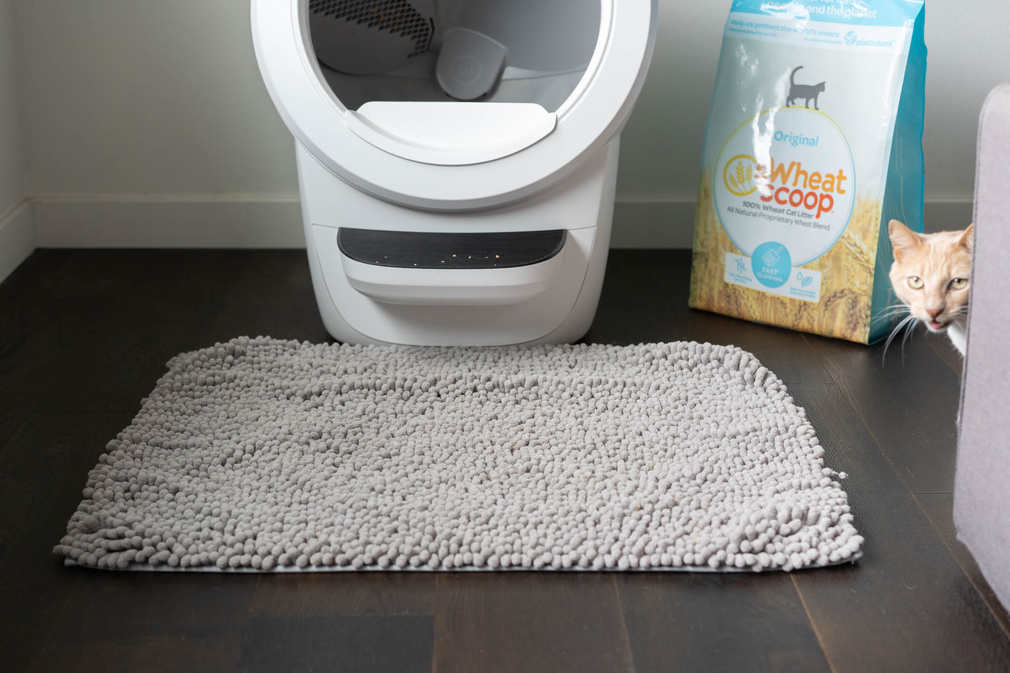 litter mat in front of Litter Robot 4