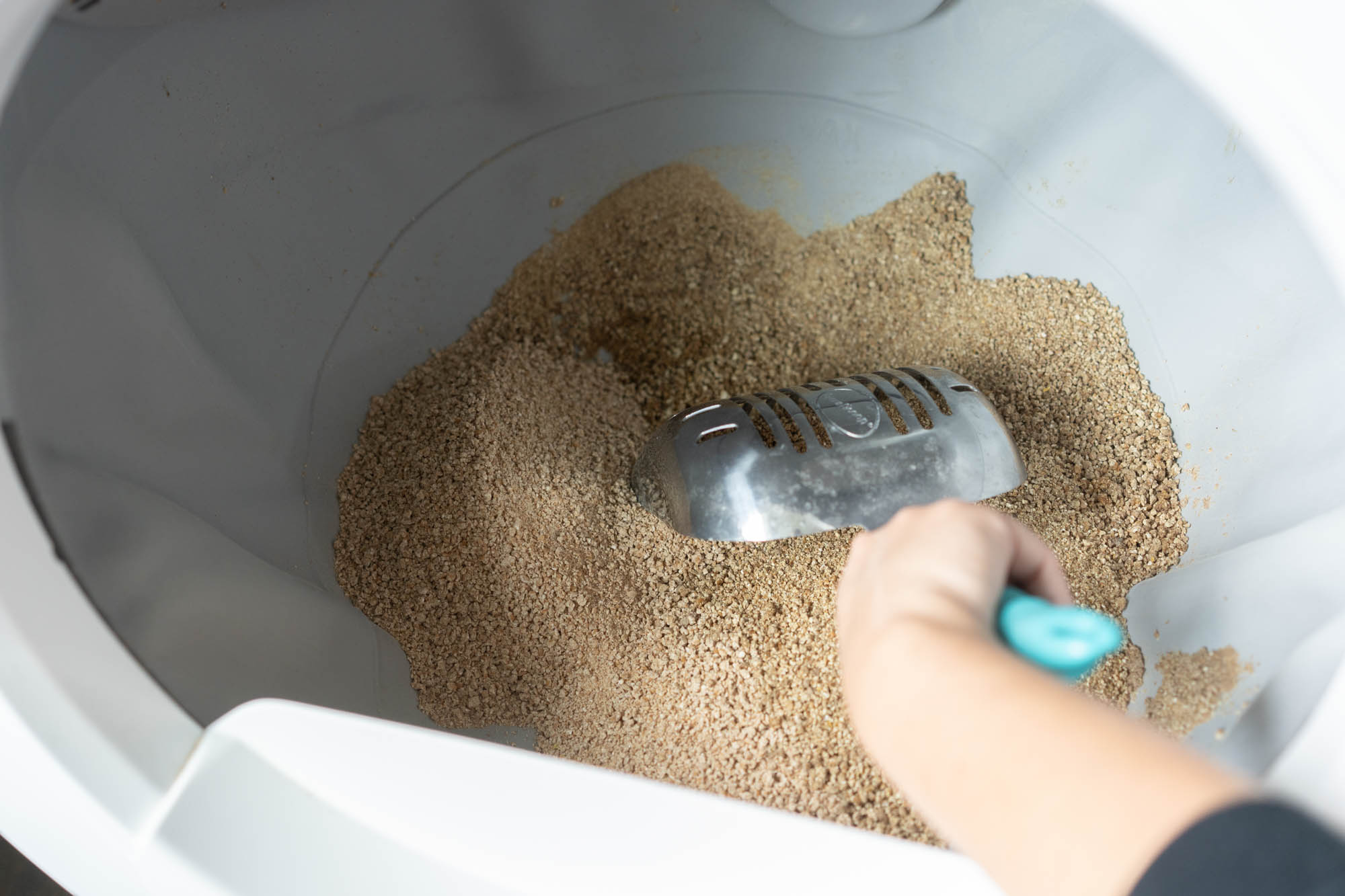 scooping cat litter in Litter Robot 4