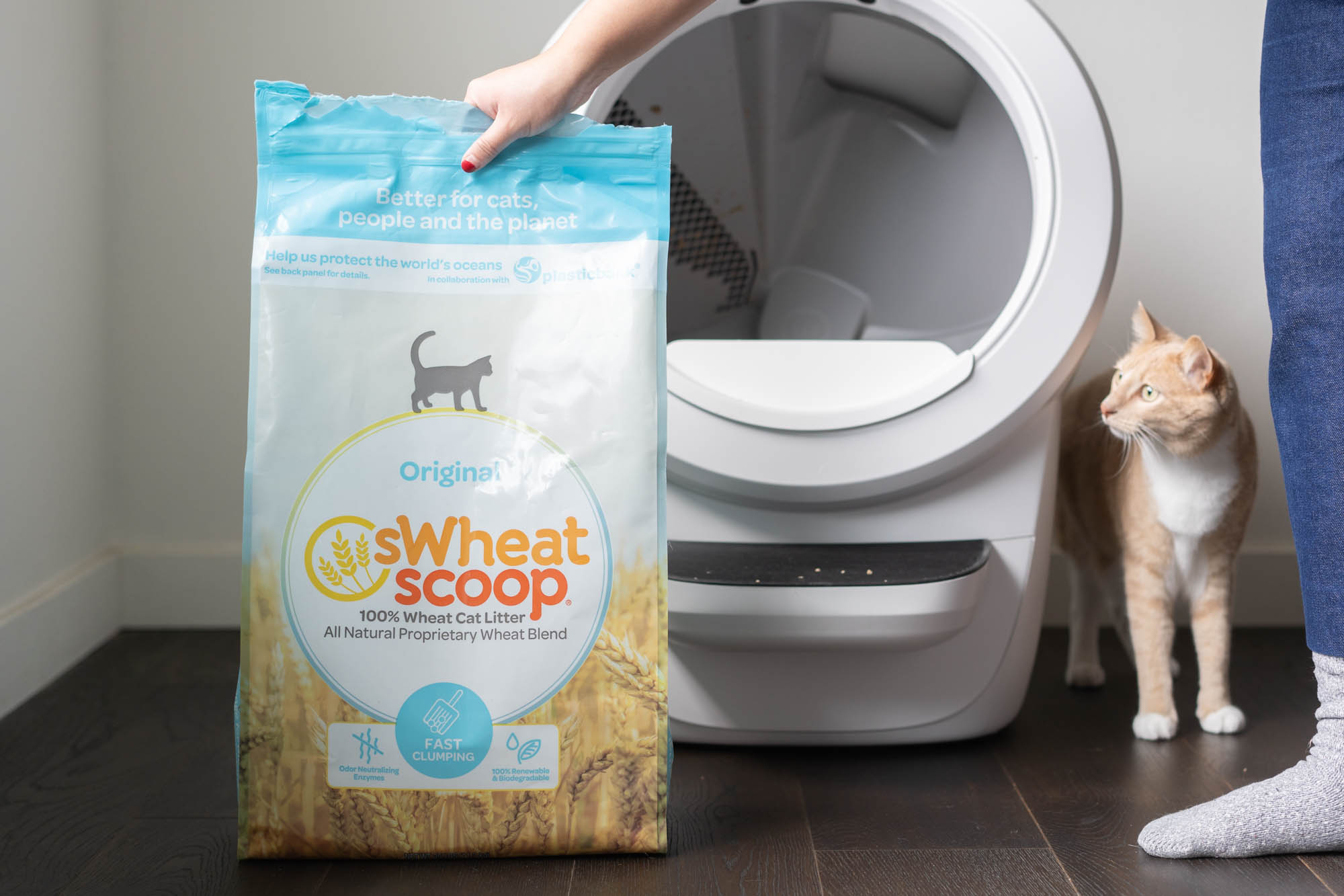cat litter bag in front of litter box