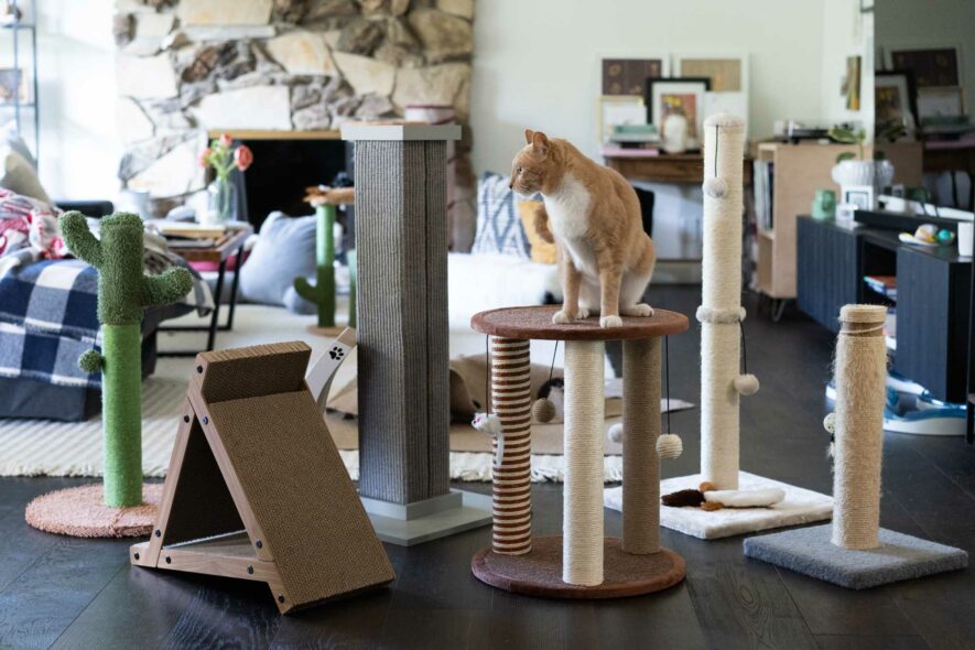best cat scratching posts